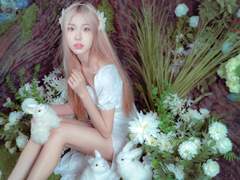 8월 숲속에서, 뉴진스 컨셉스냅