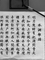 화산귀환 청명/당보 드림 - 집필자 일지