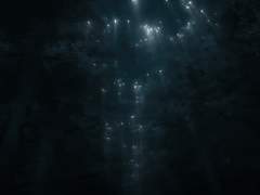 "나는 무엇을 해야 하는가?"라는 물음에 답하려면