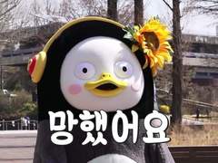 7일 편지 프로젝트