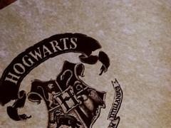 겨울에도 나비가 있나요? (2)