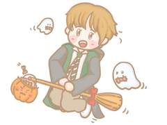 애정(최근 마음에 드는거 먼저!)