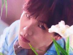 혀 밑에 고인 우물 : 19