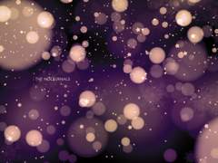 백호의신 | For Your Romance