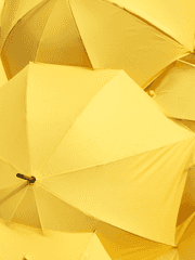 뜰팁 단편 모음집