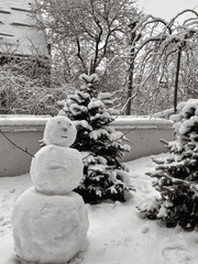 단편 글 모음집