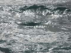 [세미도이] 깊은 바다