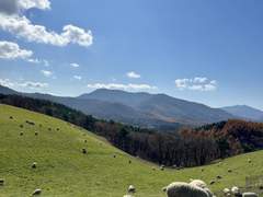 요즘 생각들 여러가지