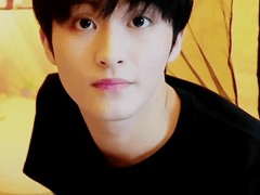 치타 키우지 마세요