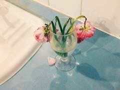 오빠들은 반대했지만 백작의 막냇동생인 저는 이 세계를 지키고야 말겠다고요!