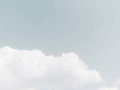 수많은 정의 속.