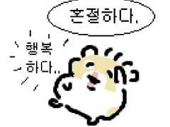 성사 200일이 넘어서 쓰는 선호 관싹후기💛💙