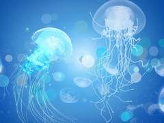 [선에커 프로필] Nurzhan :: 빛의 아이¿