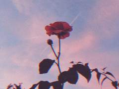 과거의 발자취.