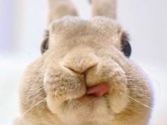 yes24 예스24 대기번호 뚫어버리기