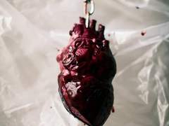 검은 심장의 소년