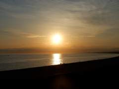 [죠죠] 티 앤 보틀