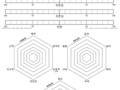 이메레스 분석표