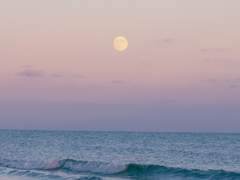 깨달음이 찰나라고 하여 감정까지 찰나이지는 않았다.