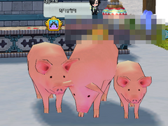 낭만노기: 두갈드성터탐방, 패컨참여, 그외 스샷