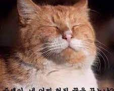 10월 대운동회 행사 및 회지 제작 후기