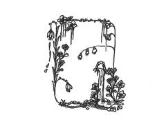 008. 서문의 서문