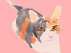 만화애니메션과 저출산의 상관관계에서 고찰한 것들