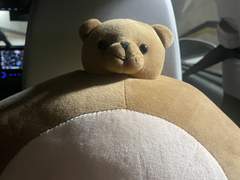 [랑구] 10월 31일 : 잊혀진 계절