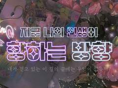 💜 지금 나의 인생이 향하는 방향 #015