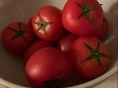 토마토 레시피