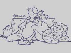 한국으로 귀국한 일러레는 어디로 갔나!