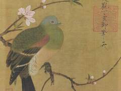 워터십다운의 14번째 토끼