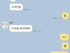 도리벤카피페모음(13)