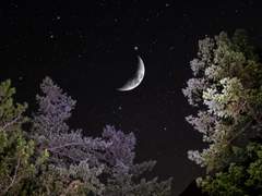 [신재조영] MOON 🌒