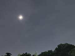 young to the moon (4)