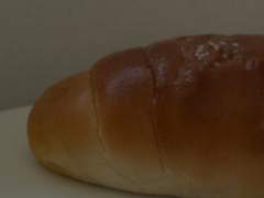 햄지어니 🐹👍🏻