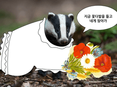 블랙배저 배 가장 결혼하고 싶은 등장인물