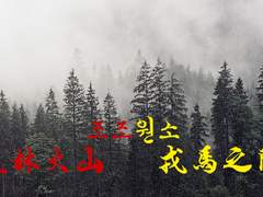 [조조원소/쬬원] 風林火山 - 戎馬之間