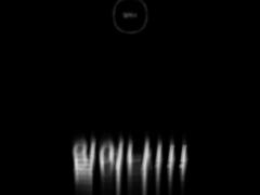 [할로윈] 겨울의 시작을 알려주는 꽃