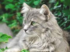 다정함, 현명한, 친절함!