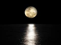 [닉스페필] 구원은 무엇으로 만들어지나요