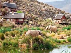 놀라운 남아프리카 사파리 체험