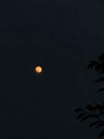 [문휜] 5년째 연애중 !