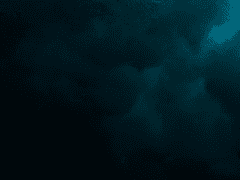 그들의 트라우마