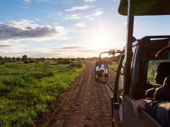 남아프리카의 도로 여행 모험