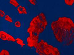 [준상|종상] 저주 풀기 (1)