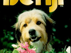 D203) 내 사랑 벤지 (Benji, 1974)