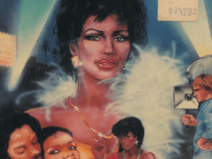 D204) 스타의 길 (Black Starlet, 1974)