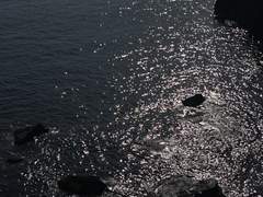 #3. 유입 100배 증가시키는 해시태그 사용법