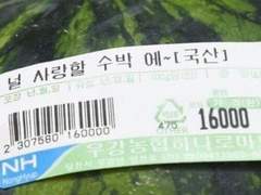 [여름]널 사랑할 수박 에~